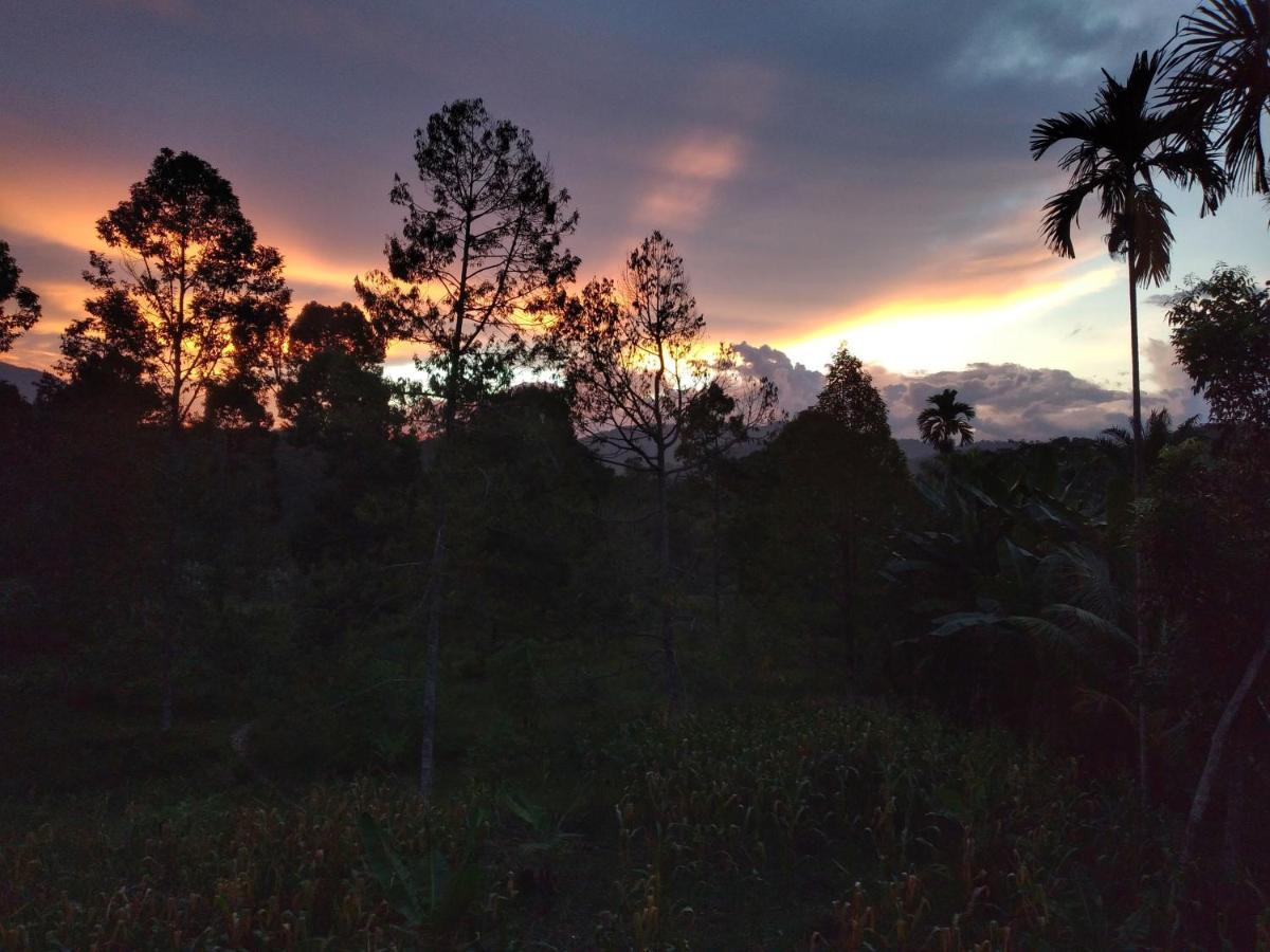 Sumatra Orangutan Discovery Villa Bukit Lawang Zewnętrze zdjęcie