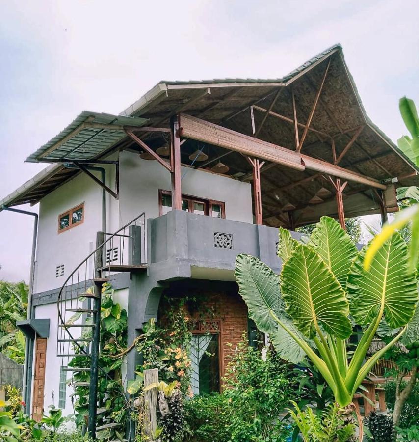 Sumatra Orangutan Discovery Villa Bukit Lawang Zewnętrze zdjęcie