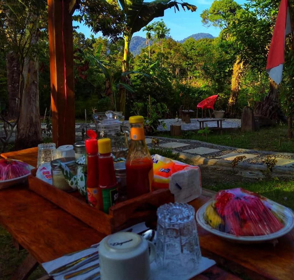 Sumatra Orangutan Discovery Villa Bukit Lawang Zewnętrze zdjęcie