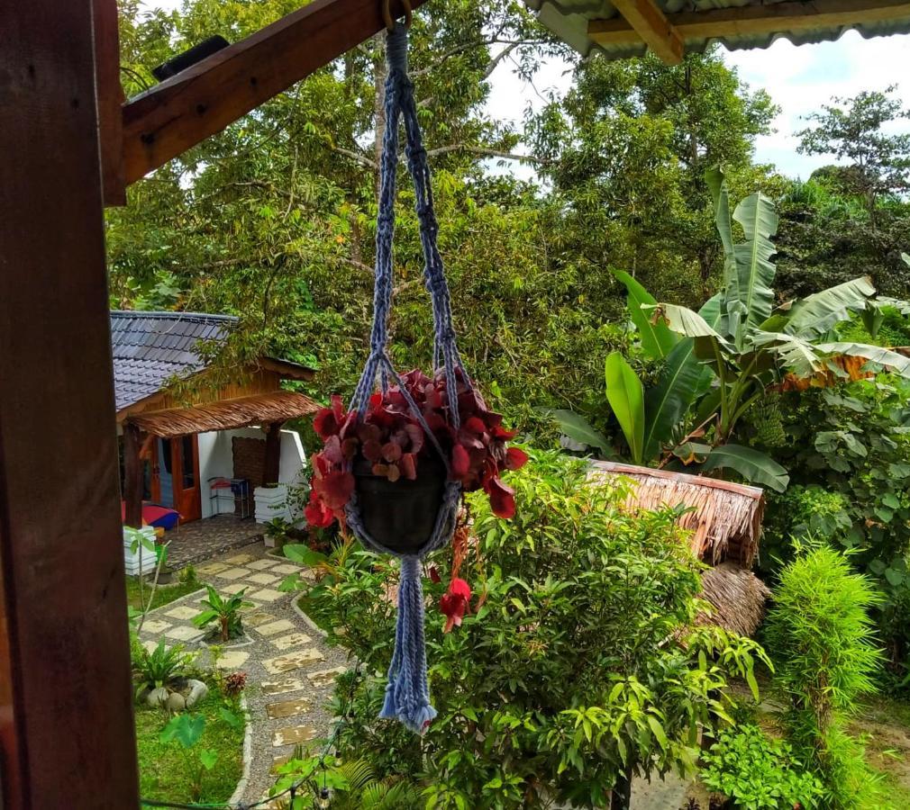 Sumatra Orangutan Discovery Villa Bukit Lawang Zewnętrze zdjęcie