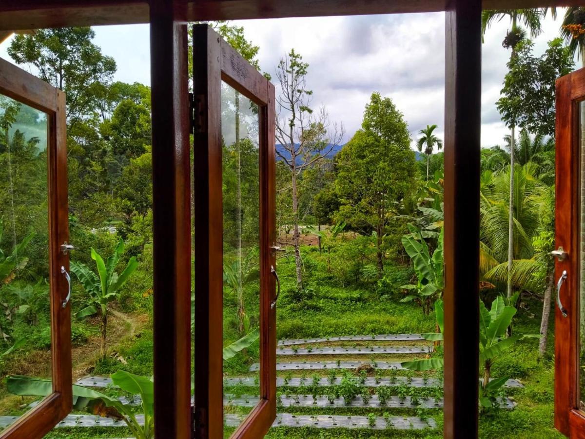 Sumatra Orangutan Discovery Villa Bukit Lawang Zewnętrze zdjęcie