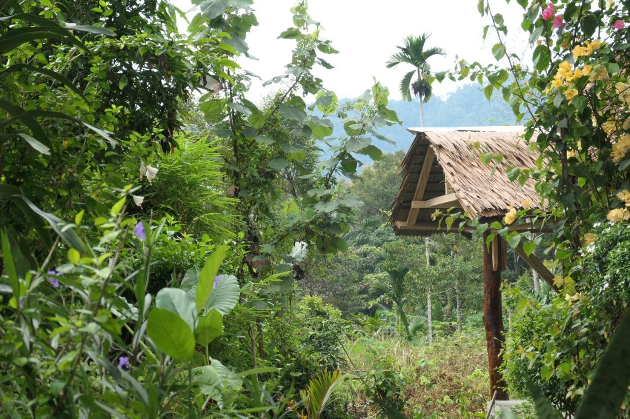 Sumatra Orangutan Discovery Villa Bukit Lawang Zewnętrze zdjęcie